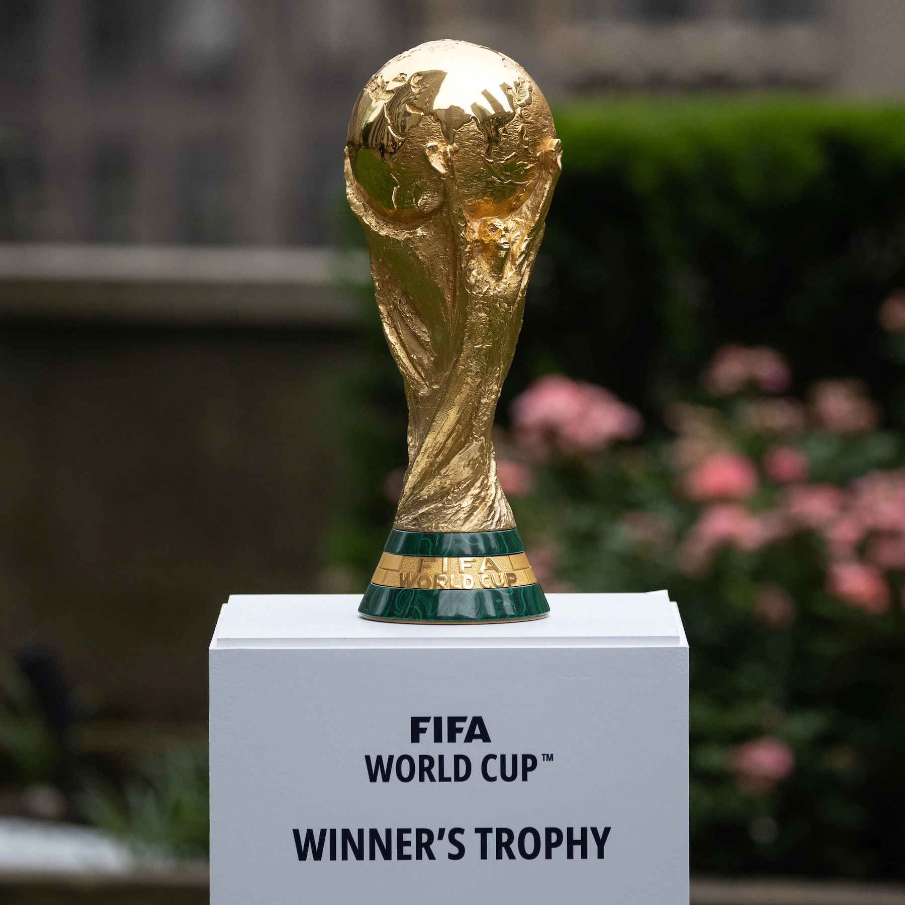 official image of the world cup